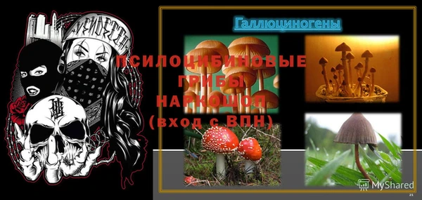 ALPHA PVP Беломорск